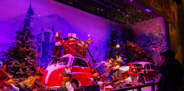 {{brizy_dc_image_alt entityId=